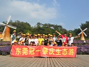 立方體圖標1